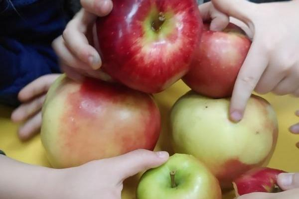 Гурток «English speaking club» - День Яблука