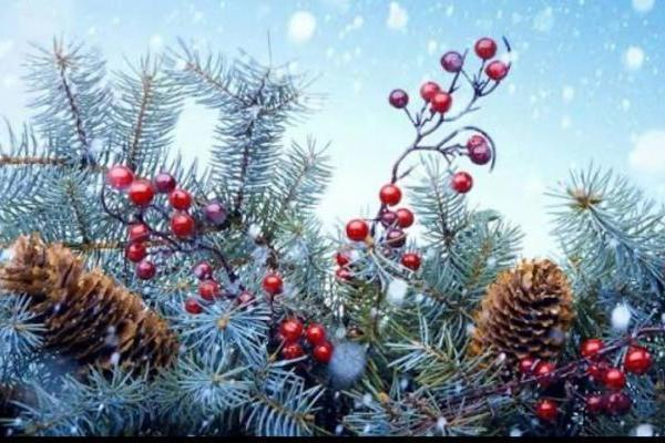 Гурток «Аrt-простір» - Новорічно-різдвяна виставка дитячих малюнків