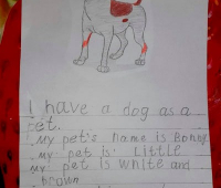 Розповідь про домашнього улюбленця